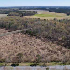 Photo #7 of SOLD property in Off Highway 903 North , Stokes, NC 8.0 acres
