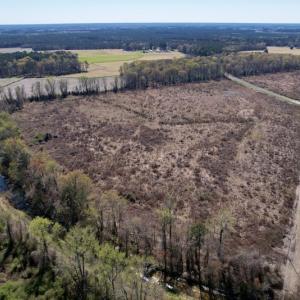 Photo #9 of SOLD property in Off Highway 903 North , Stokes, NC 37.5 acres