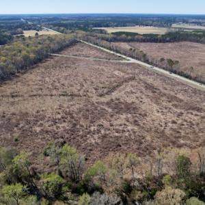 Photo #10 of SOLD property in Off Highway 903 North , Stokes, NC 37.5 acres