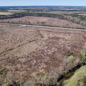 Photo #11 of SOLD property in Off Highway 903 North , Stokes, NC 37.5 acres