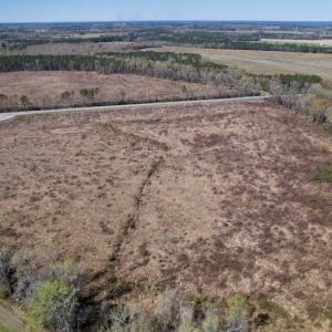 Photo #12 of SOLD property in Off Highway 903 North , Stokes, NC 37.5 acres