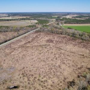 Photo #13 of SOLD property in Off Highway 903 North , Stokes, NC 37.5 acres