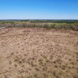Photo #15 of SOLD property in Off Highway 903 North , Stokes, NC 37.5 acres