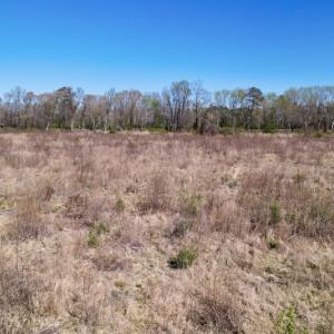 Photo #17 of SOLD property in Off Highway 903 North , Stokes, NC 37.5 acres