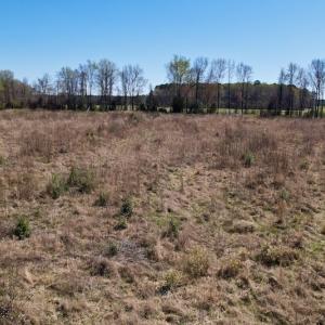 Photo #18 of SOLD property in Off Highway 903 North , Stokes, NC 37.5 acres