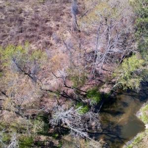 Photo #19 of SOLD property in Off Highway 903 North , Stokes, NC 37.5 acres