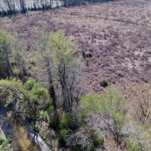 Photo #21 of SOLD property in Off Highway 903 North , Stokes, NC 37.5 acres
