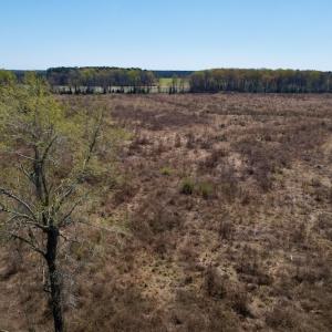 Photo #23 of SOLD property in Off Highway 903 North , Stokes, NC 37.5 acres