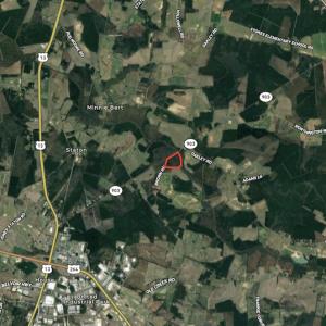 Photo #24 of SOLD property in Off Highway 903 North , Stokes, NC 37.5 acres