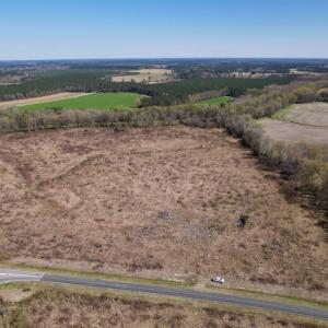 Photo #3 of SOLD property in Off Highway 903 North , Stokes, NC 37.5 acres