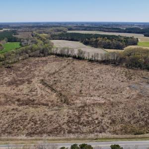 Photo #6 of SOLD property in Off Highway 903 North , Stokes, NC 37.5 acres