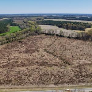 Photo #7 of SOLD property in Off Highway 903 North , Stokes, NC 37.5 acres