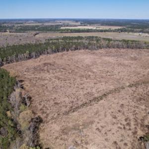 Photo #9 of SOLD property in Off Highway 903 North, Stokes, NC 57.6 acres