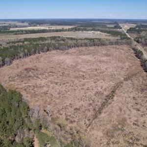 Photo #10 of SOLD property in Off Highway 903 North, Stokes, NC 57.6 acres