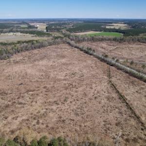 Photo #11 of SOLD property in Off Highway 903 North, Stokes, NC 57.6 acres
