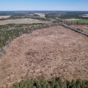 Photo #12 of SOLD property in Off Highway 903 North, Stokes, NC 57.6 acres