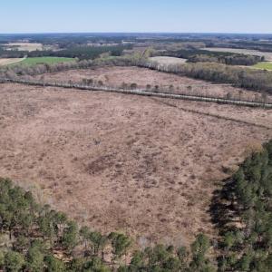 Photo #13 of SOLD property in Off Highway 903 North, Stokes, NC 57.6 acres
