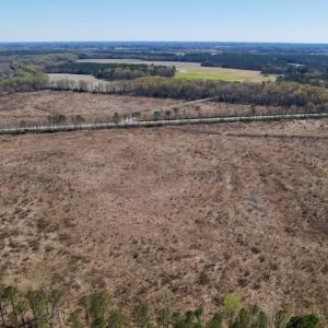 Photo #15 of SOLD property in Off Highway 903 North, Stokes, NC 57.6 acres