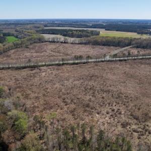 Photo #16 of SOLD property in Off Highway 903 North, Stokes, NC 57.6 acres