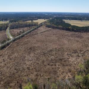 Photo #17 of SOLD property in Off Highway 903 North, Stokes, NC 57.6 acres