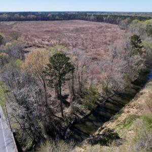 Photo #20 of SOLD property in Off Highway 903 North, Stokes, NC 57.6 acres