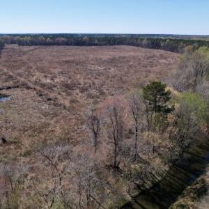 Photo #21 of SOLD property in Off Highway 903 North, Stokes, NC 57.6 acres