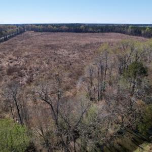 Photo #22 of SOLD property in Off Highway 903 North, Stokes, NC 57.6 acres