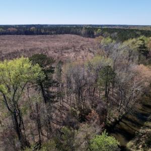 Photo #23 of SOLD property in Off Highway 903 North, Stokes, NC 57.6 acres