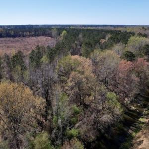 Photo #24 of SOLD property in Off Highway 903 North, Stokes, NC 57.6 acres