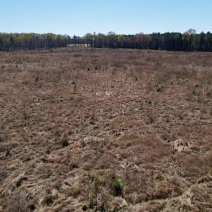 Photo #25 of SOLD property in Off Highway 903 North, Stokes, NC 57.6 acres