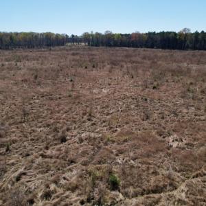 Photo #25 of SOLD property in Off Highway 903 North, Stokes, NC 57.6 acres