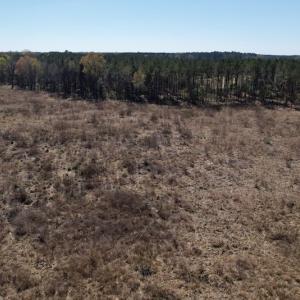 Photo #26 of SOLD property in Off Highway 903 North, Stokes, NC 57.6 acres