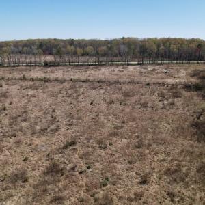 Photo #27 of SOLD property in Off Highway 903 North, Stokes, NC 57.6 acres