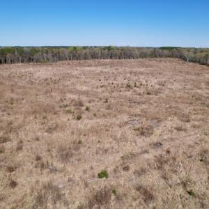 Photo #28 of SOLD property in Off Highway 903 North, Stokes, NC 57.6 acres