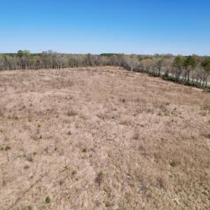 Photo #29 of SOLD property in Off Highway 903 North, Stokes, NC 57.6 acres