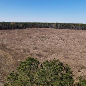 Photo #30 of SOLD property in Off Highway 903 North, Stokes, NC 57.6 acres