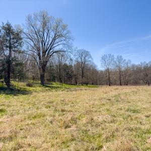 Photo #9 of SOLD property in Off of State Road 1580, Leasburg, NC 22.9 acres