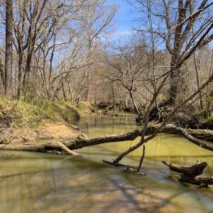 Photo #10 of SOLD property in Off of State Road 1580, Leasburg, NC 22.9 acres