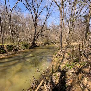 Photo #14 of SOLD property in Off of State Road 1580, Leasburg, NC 22.9 acres