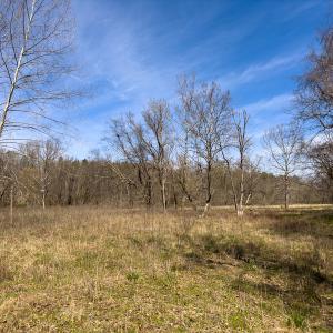 Photo #15 of SOLD property in Off of State Road 1580, Leasburg, NC 22.9 acres