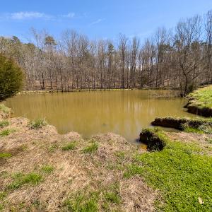 Photo #17 of SOLD property in Off of State Road 1580, Leasburg, NC 22.9 acres
