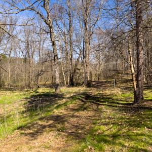 Photo #18 of SOLD property in Off of State Road 1580, Leasburg, NC 22.9 acres