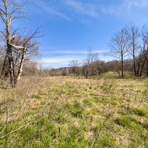 Photo #19 of SOLD property in Off of State Road 1580, Leasburg, NC 22.9 acres