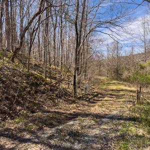 Photo #21 of SOLD property in Off of State Road 1580, Leasburg, NC 22.9 acres