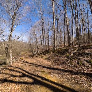 Photo #24 of SOLD property in Off of State Road 1580, Leasburg, NC 22.9 acres