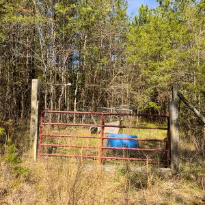 Photo #25 of SOLD property in Off of State Road 1580, Leasburg, NC 22.9 acres