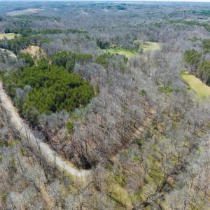 Photo #26 of SOLD property in Off of State Road 1580, Leasburg, NC 22.9 acres
