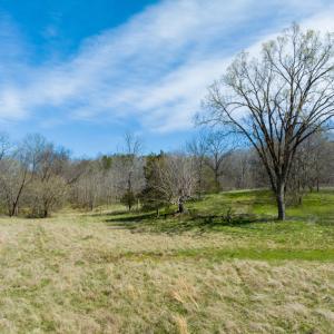 Photo #2 of SOLD property in Off of State Road 1580, Leasburg, NC 22.9 acres