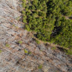 Photo #33 of SOLD property in Off of State Road 1580, Leasburg, NC 22.9 acres