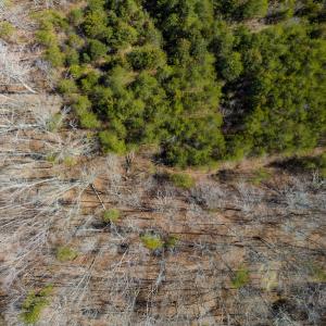 Photo #35 of SOLD property in Off of State Road 1580, Leasburg, NC 22.9 acres